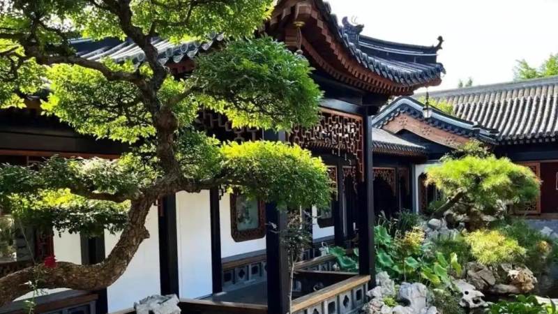 2026lol全球总决赛 苗木养护管理服务配图